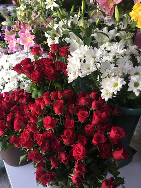 A vibrant display of fresh floral arrangements featuring a dense cluster of deep red roses with tightly packed petals and glossy green leaves, positioned in black and green pots. Behind the roses, the