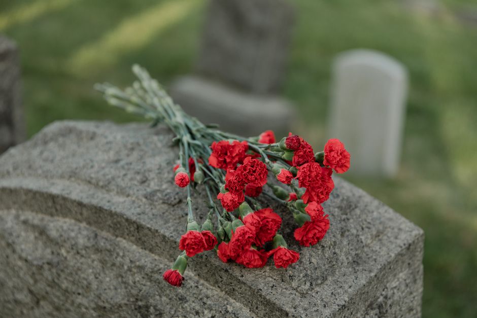 A bouquet of red carnations with ruffled petals and green stems, resting on a rough grey stone grave marker in a cemetery. The flowers are fresh, vibrant, and laid neatly on the surface, partially ove